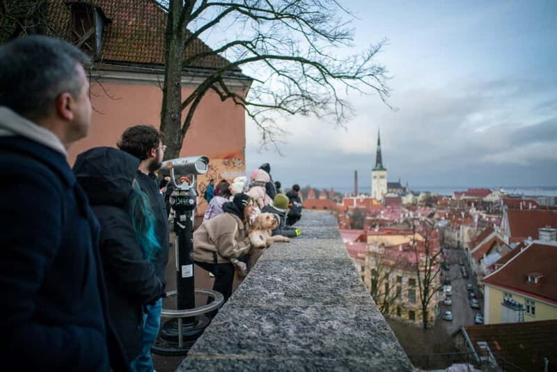 Tallinn: Old Town Walking Tour and Jägala Waterfall - Who Would Love This Tour?