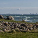 Tallinn: Top Attractions and Viimsi Open Air Museum - Authentic Insights from Other Travelers