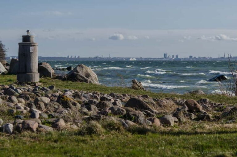 Tallinn: Top Attractions and Viimsi Open Air Museum - Authentic Insights from Other Travelers