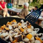 Tampere: Mushroom Picking and Tasting Tour with Meal - What to Expect from the Mushroom Foraging Experience