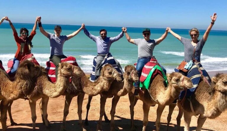 Tangier Private Day Trip from Tarifa (add-on: Ferry Tickets) - Analyzing the Value: Whats Included & Whats Not