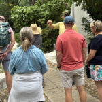 Tangier private luxury tour from Tarifa All inclusive - What Sets This Tour Apart?