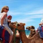 Tarifa/Algeciras: Tangier Private Day Tour with Ferry Ticket - Why This Tour Works Well