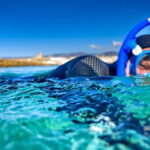 Tarifa: Guided Strait Natural Park Snorkel Tour - The Itinerary: A Closer Look