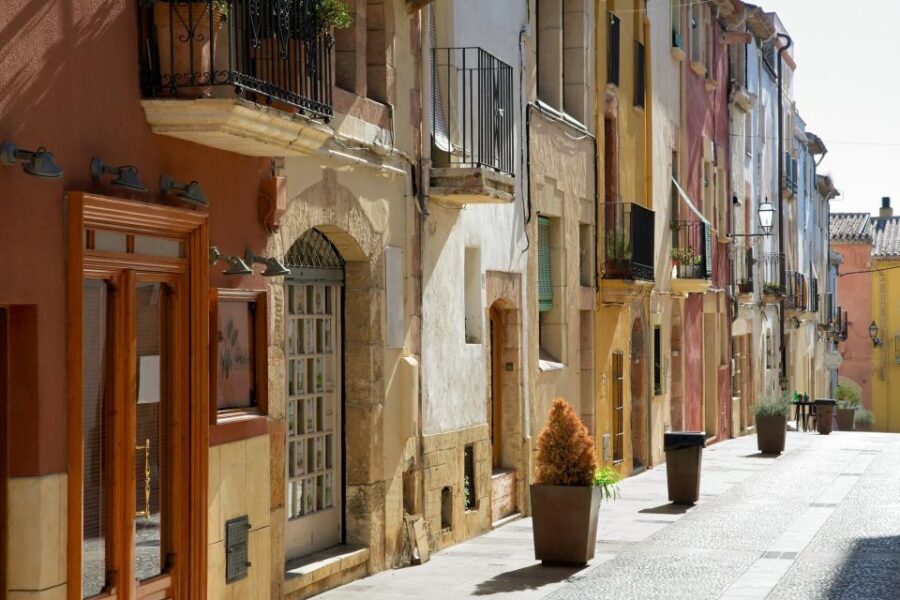 Tarragona Gems Half-Day Private Journey - Practical Details and Value
