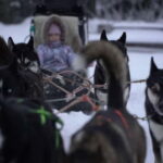 TARTU COUNTRY: SLED DOG TOUR AND KENNEL VISIT - Why This Tour Stands Out