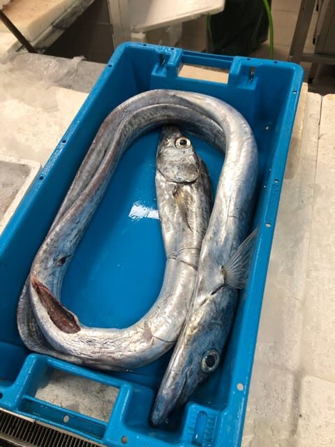 Taste of Setubal: Market Visit and Wine Tastings - What Makes This Tour Special?