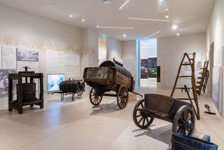 Taste with us Bardolino, Chiaretto and Lugana near Verona - Who Would Enjoy This Tour?