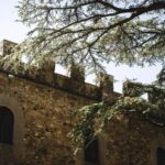 Tastes of History at Castello il Palagio - Culinary Highlights: Tasting Tuscany’s Finest