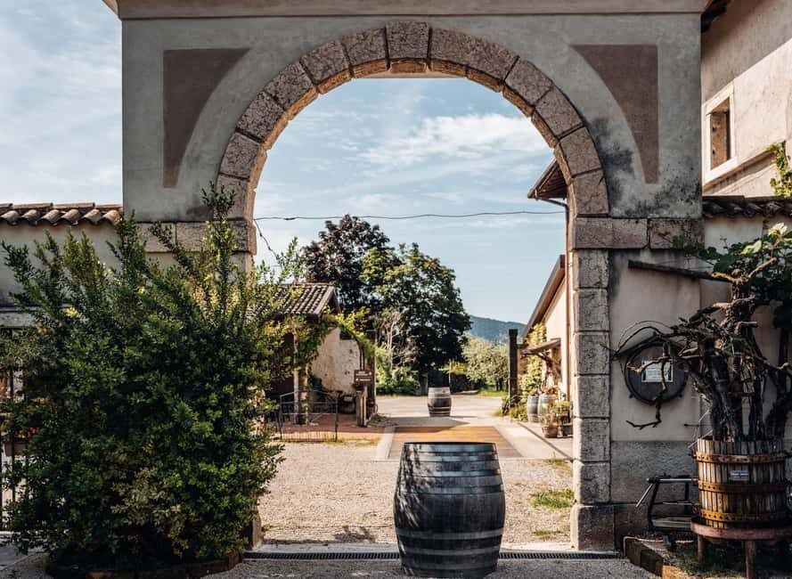 Tasting in the cellar, Caprino Veronese, Pesina - The Value of the Experience