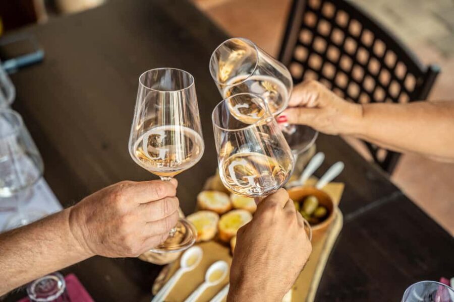Tasting in the cellar, in Caprino Veronese, Pesina. - Practical Details and Tips