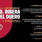 Tasting: Introduction to Wines of D.O. Ribera del Duero - The Itinerary and What to Expect