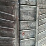 Tastings in the villa - THE SECRETS OF THE TORRIOLO ESTATE - Exploring the Estate and the Vineyard