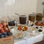 Tavira: Olive Experience with Factory Tour and Tasting - Who Will Love This Tour?