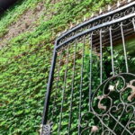 Tbilisi: 3-Day Stay with City Tour and Hidden Gems - What’s Included and Why It Matters