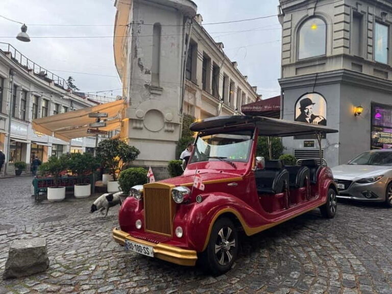 Tbilisi: 45-Minute City Tour by Retro Bus - Final Thoughts