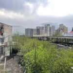 Tbilisi: Crime Stories & Hidden Tales Walking Tour - What to Expect from the Crime & Hidden Tales Tour in Tbilisi