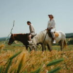 Tbilisi: Horseback Riding Experience - What to Expect from the Tbilisi Horseback Riding Tour