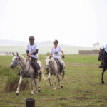 Tbilisi: Kakheti Horse Riding, Wine Tasting, and Cooking - Visiting Kvareli Wine Cave: A Deep Dive into Georgian Wine Traditions