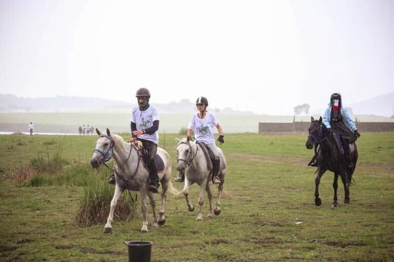 Tbilisi: Kakheti Horse Riding, Wine Tasting, and Cooking - Visiting Kvareli Wine Cave: A Deep Dive into Georgian Wine Traditions