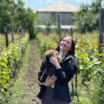 Tbilisi: Kakheti Private Wine Tour with Family Lunch - Practical Details and Why They Matter