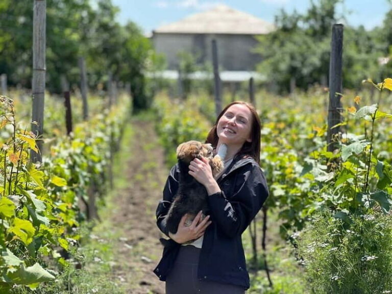 Tbilisi: Kakheti Private Wine Tour with Family Lunch - Practical Details and Why They Matter