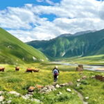 Tbilisi: Kazbegi Gudauri Ananuri and Truso Adventure by 4x4 - The Experience: What You’ll Love and What to Consider