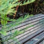 Tbilisi: Kazbegi Tour with 4-Star Hotel Stay & Meals - Why This Tour Offers Great Value