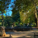 Tbilisi: Left and Right Banks of City - Culture & Local Life - FAQ