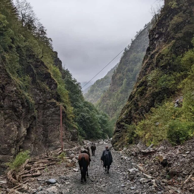 Tbilisi: Pankisi Gorge Horse Riding Tour with Dinner - The Horse Riding Experience