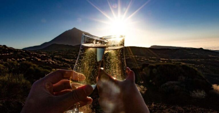 Teide: Guided Sunset & Stargazing Tour by Night with Dinner - What Travelers Say