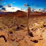 Teide National Park: Landscapes and Viewpoints Private Tour - Who Will Love This Experience?