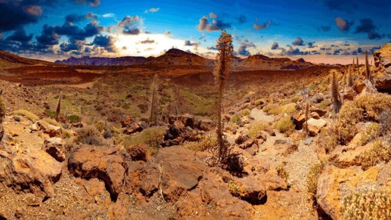 Teide National Park: Landscapes and Viewpoints Private Tour - Who Will Love This Experience?