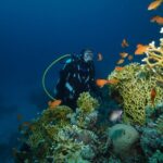 Tenerife: 3-Day Open Water Scuba Diver Course - Meeting Points and Logistics