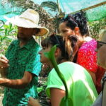 Tenerife: A tour in a food forest and a vanilla cultivation - What to Expect During the Tour