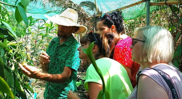 Tenerife: A tour in a food forest and a vanilla cultivation - What to Expect During the Tour