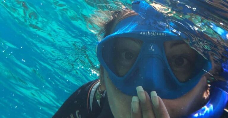 Tenerife: Alcalá Guided Snorkeling Tour - Who Is This Tour Best For?