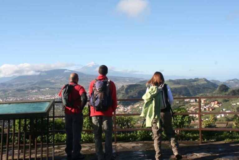 Tenerife: Anaga and La Laguna VIP Tour - Authentic Experiences and Insider Tips