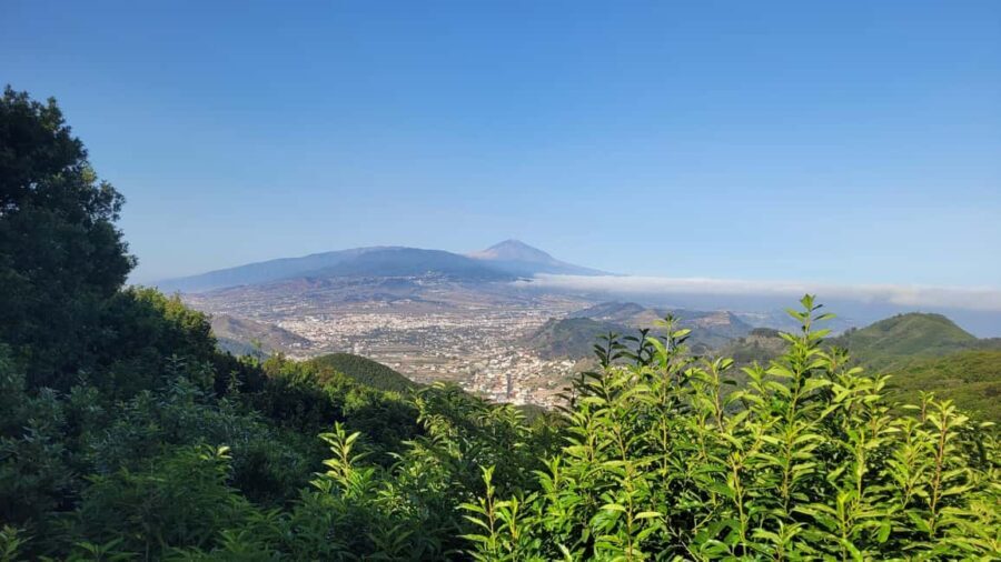 Tenerife Anaga Mountains: Circular hike in the laurel forest small group max. 10 - Who Is This Tour Best Suited For?