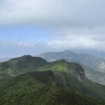 Tenerife: Anaga UNESCO VIP TOUR - Why This Tour Works for Different Travelers