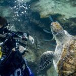 Tenerife: Beginner Scuba Dive Experience with Small Groups - Why This Experience Works
