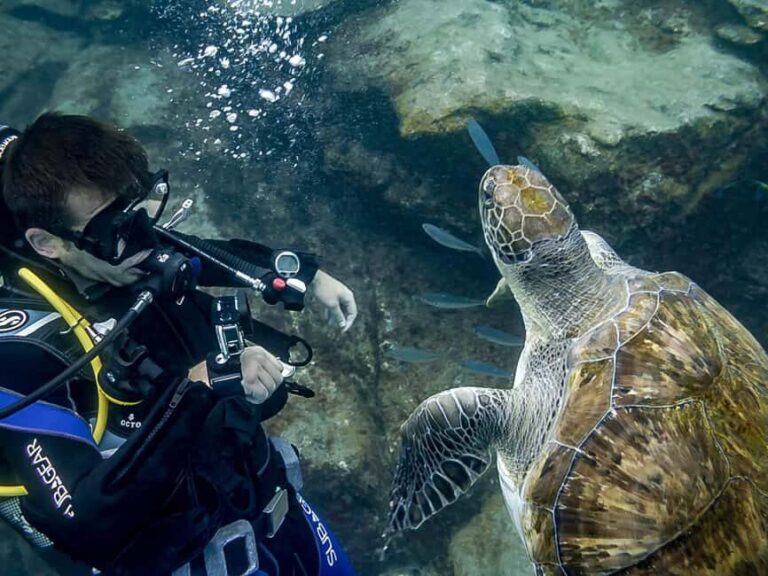 Tenerife: Beginner Scuba Dive Experience with Small Groups - Why This Experience Works
