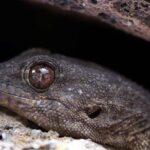 Tenerife : Camino Real hike - The Experience in Context