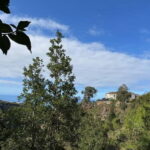 Tenerife: Canary History and Color Potatoes - Price and Value