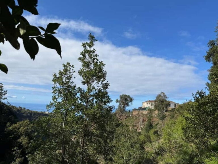 Tenerife: Canary History and Color Potatoes - Price and Value