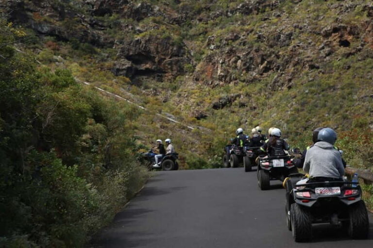 Tenerife: Coastal Sights to Woodland Heights Quad Tour - What to Expect During the Tour
