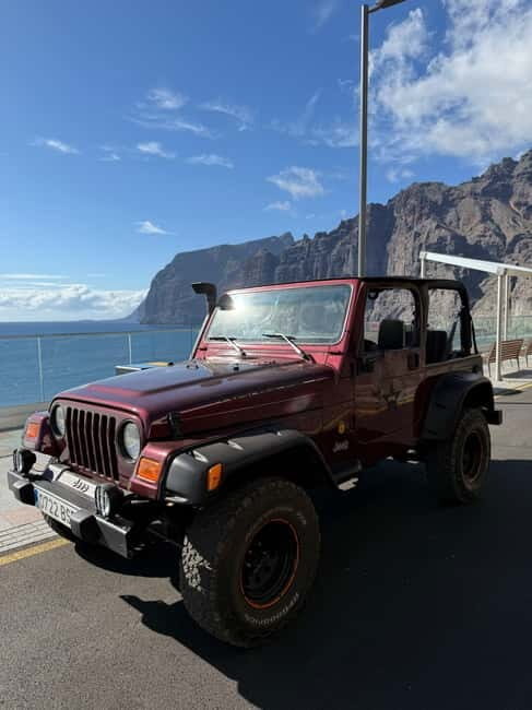 Tenerife: Coastal tour in a Jeep Wrangler to Los Gigantes and the South Coast - What Makes This Tour Stand Out?
