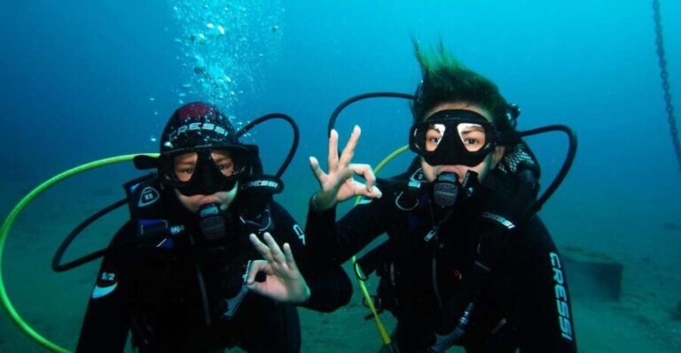 Tenerife: Discover Scuba Diving with Free Photos - Who Will Love This Experience?