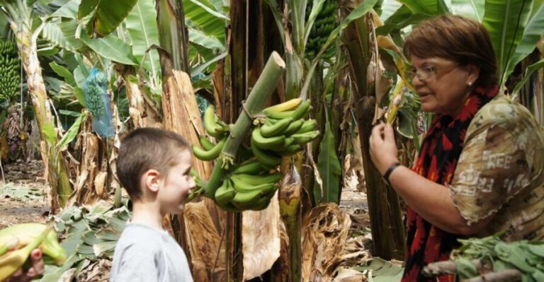 Tenerife: Finca Las Margaritas Banana Plantation Experience - Practical Tips for Visitors