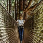 Tenerife: Forestal Park Tenerife Entry Ticket - The Sum Up